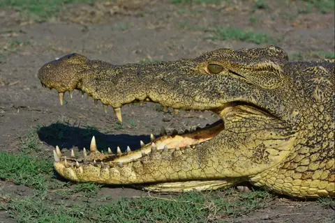 h793e3df.jpg