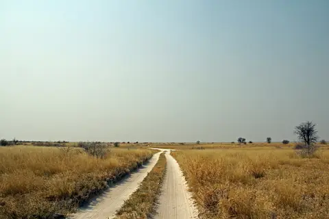 BainesBaobabs1.JPG