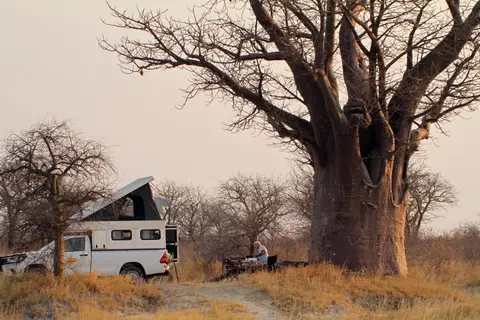 BainesBaobabs10.JPG