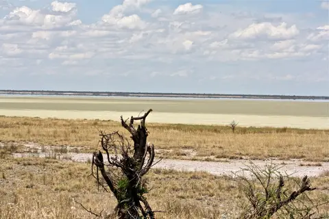 h4c0e321.JPG