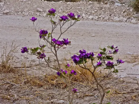 h68d8975.JPG