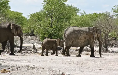 h73b98a7.JPG