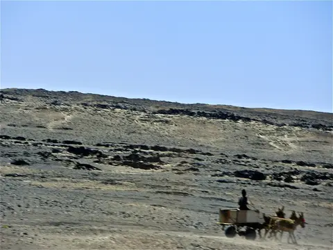 hc5a004d.JPG
