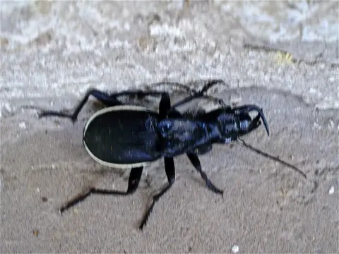 hc9a2283.JPG