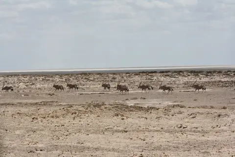 hcd42211.JPG