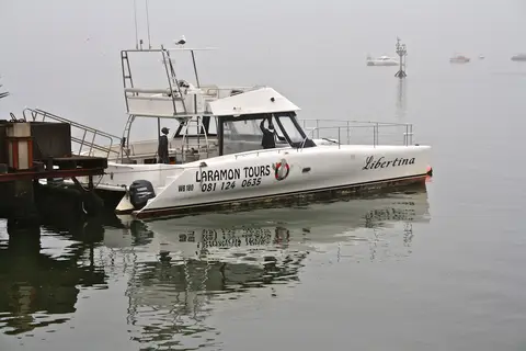 hed55eab.JPG