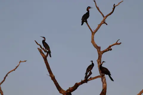 IMG_4310.JPG