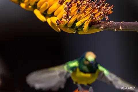 h13402f5.jpg