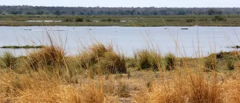 h15cf9b9.jpg