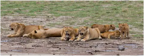LweNgorongoro-8.jpg