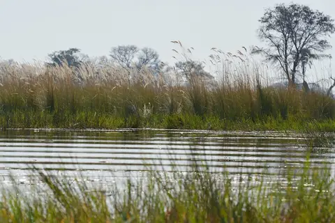 comp_DSC_3164.jpg
