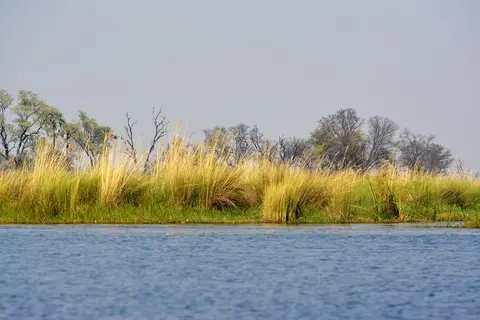 comp_DSC_3221.jpg