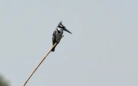 comp_DSC_3286.jpg