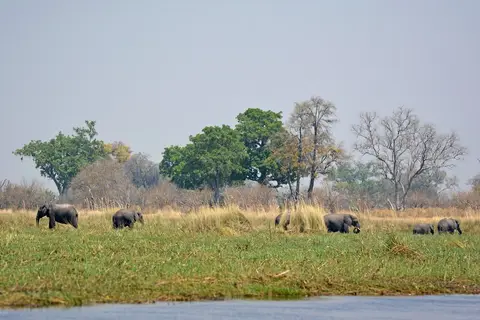comp_DSC_3618.jpg