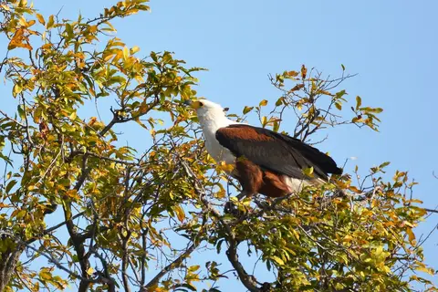 comp_DSC_4002.jpg