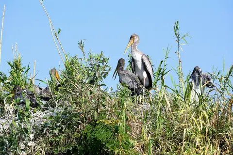 comp_DSC_4301.jpg