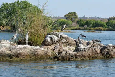 comp_DSC_4313.jpg