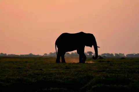comp_DSC_4433.jpg