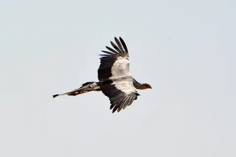 comp_DSC_4550.jpg