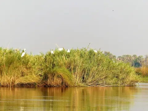 comp_P1070723.jpg