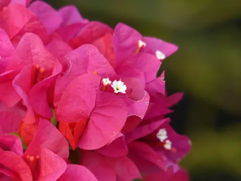 comp_P1080194.jpg