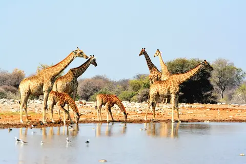 h1547d6d.jpg