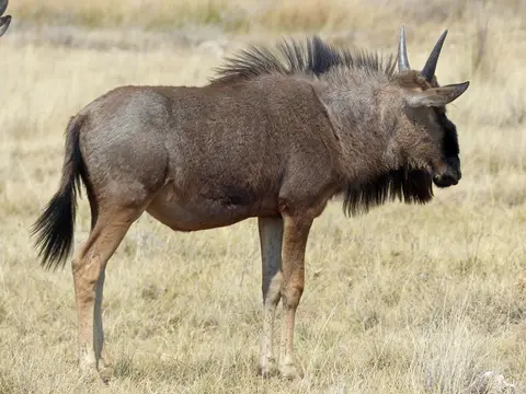 h1ab5af8.jpg