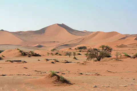 h2e8d20e.jpg