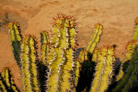 hb998807.jpg