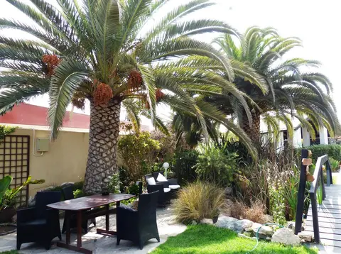 hc95e32a.jpg