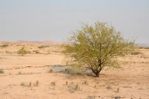 hdd7c02f.jpg