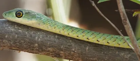 hb8eab75.JPG
