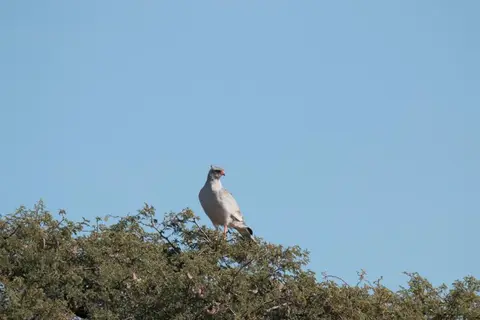 IMG_8140.JPG