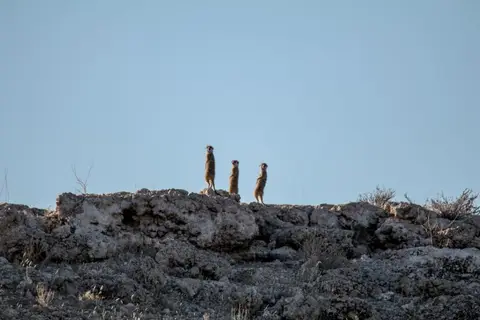 IMG_8608.JPG