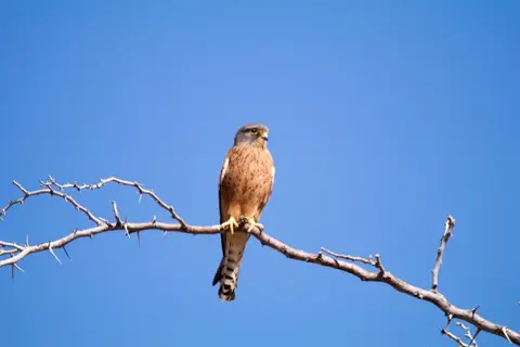 IMG_8749.JPG