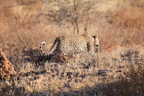 IMG_9278.JPG