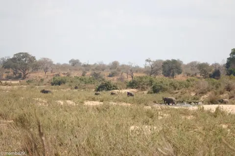 hfcc2d45.JPG