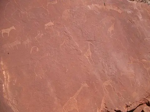 100_0663.JPG