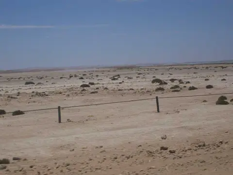 100_0716.JPG