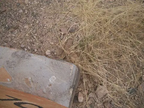 100_0835.JPG