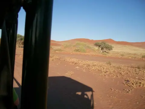 100_0910.JPG