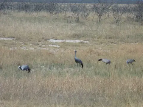 P1030167_2011-12-12.JPG