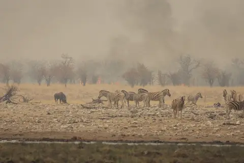 Namibia20212153.jpg