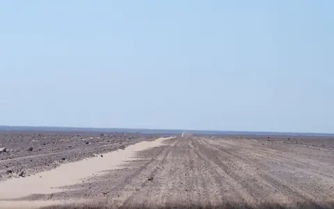 Skelett-Küste297.jpg