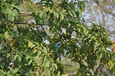 DSC_0457.jpg