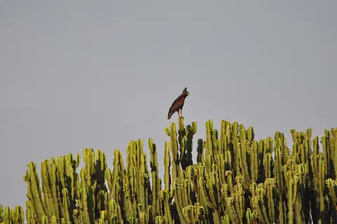 DSC_0552.jpg
