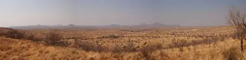 C26.jpg