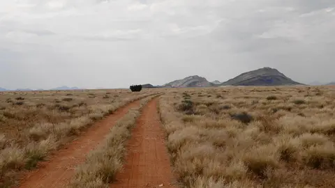 1LandschaftmitKaktus.jpg
