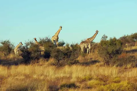 20120527Namibia2.Tag252.JPG