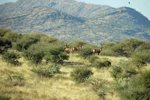 20120527Namibia2.Tag78.JPG